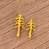 Casting - Pine Trees