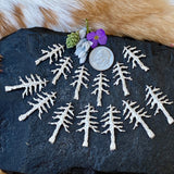 Casting - Pine Trees