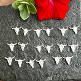 Mini Steer Stud hand cast Sterling Silver Earrings