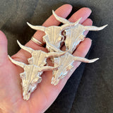 Casting - Longhorn Steer Skull