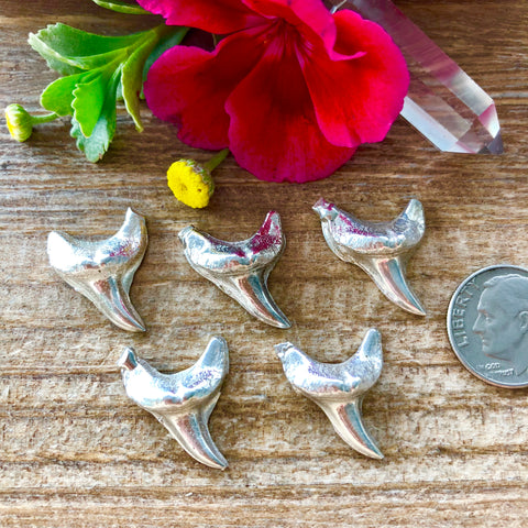 Shark tooth Castings