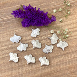 Ginkgo Castings - Small